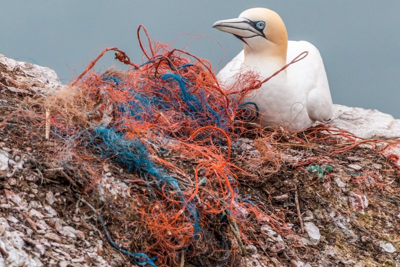 Reciklaža po morsko: zavržene ribiške mreže so postale oblačila