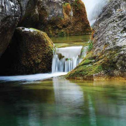 Trajnost v vsakdanjem življenju